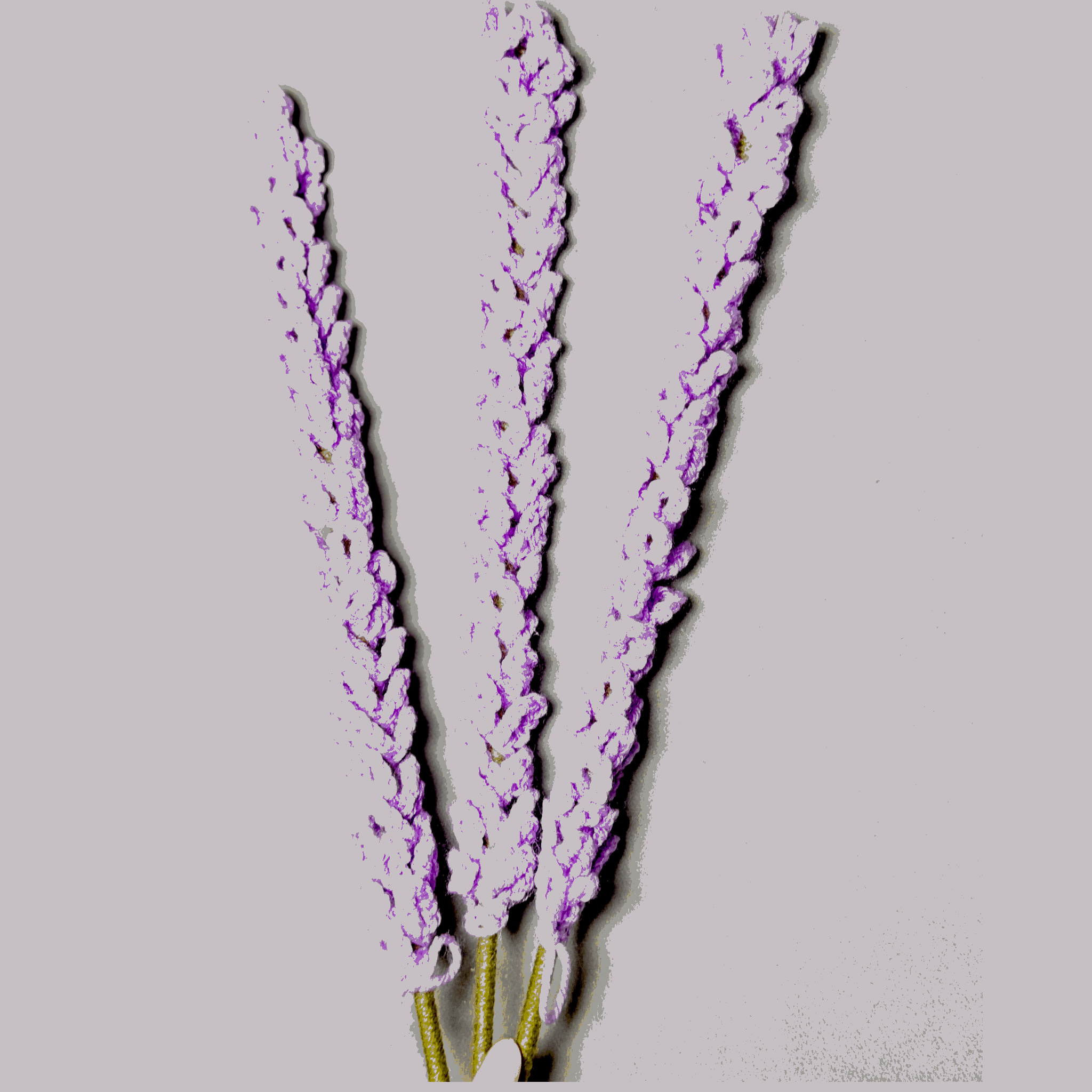 Crochet Voilet Thistle Sticks